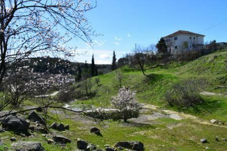 Oasis Of Calmnessε Villa Ardani Exterior photo